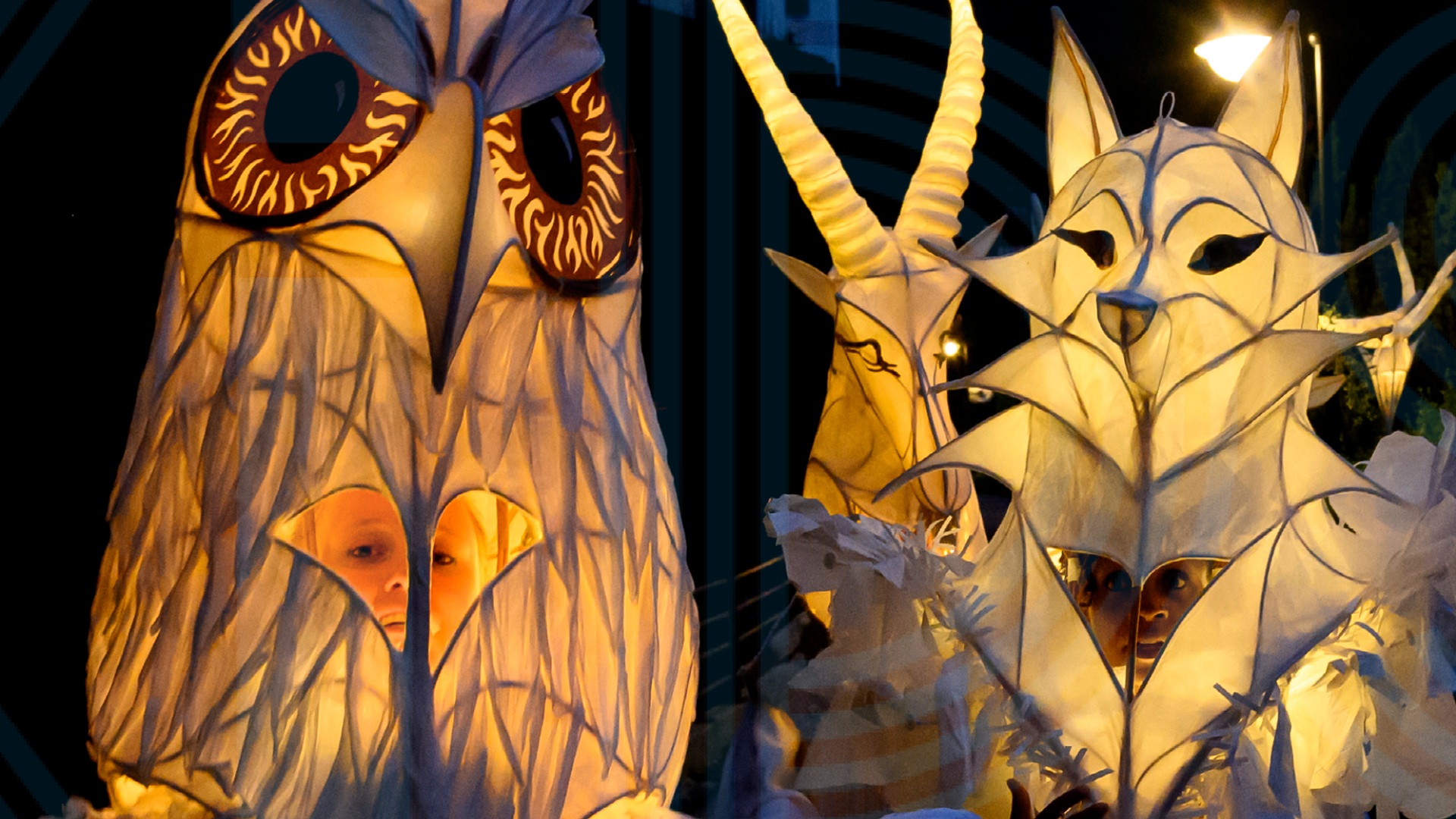 Header image of page : NUIT COUCOU: LE PEUPLE LUMIÈRE