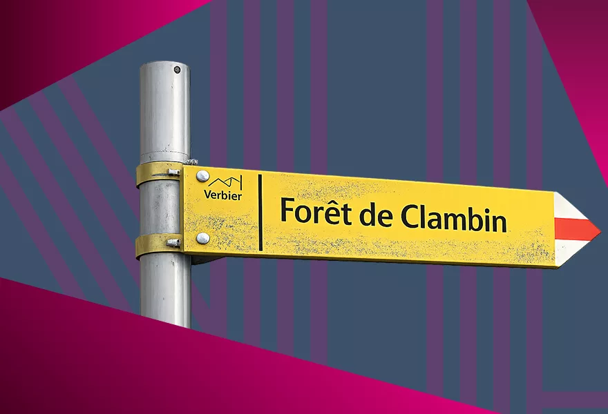 Header image of page : Balade Musicale: Clambin Forest