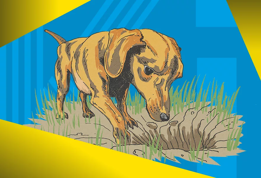 Header image of page : STORYTELLERS CAMP – DAY III