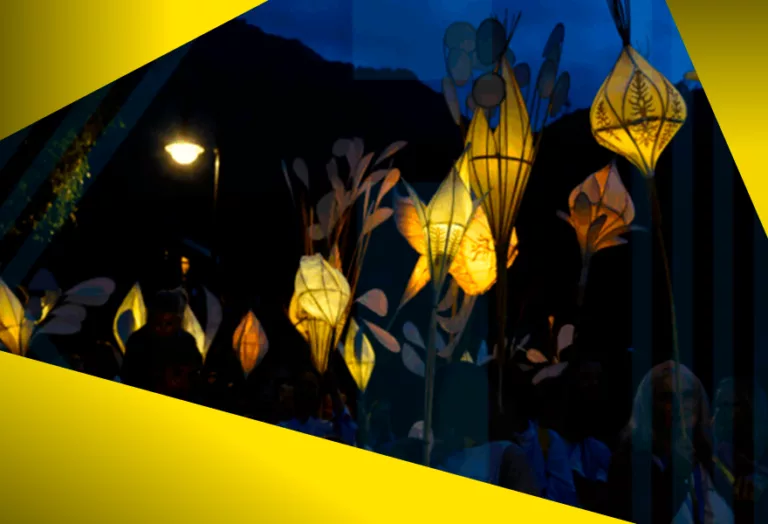 NUIT COUCOU: PROCESSION